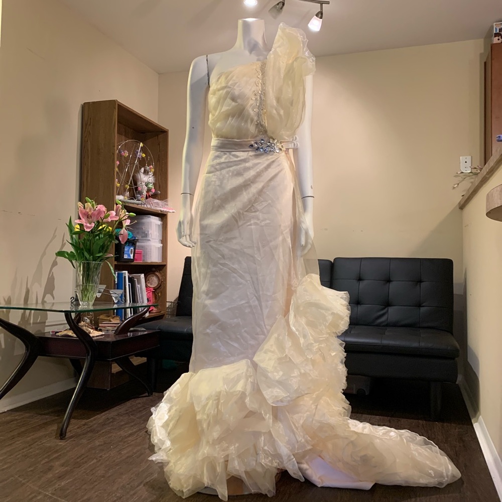 Formal Dress - Picture 4 of 8